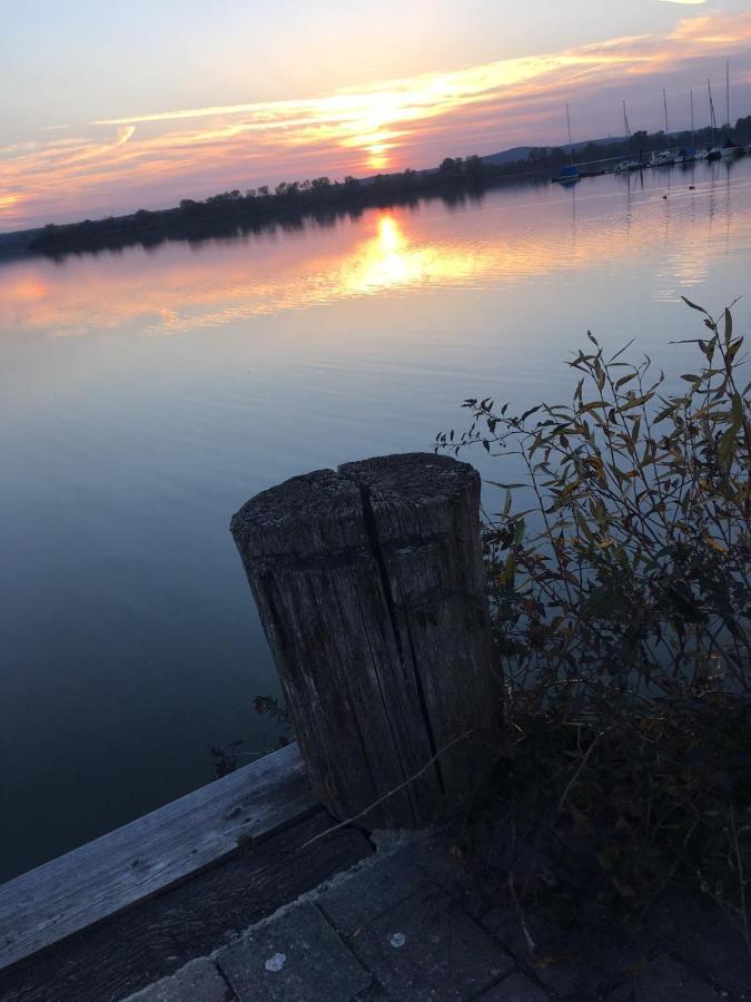 Ferienwohnung Fränkisches Seenland - FeWo Antje Mitteleschenbach Buitenkant foto
